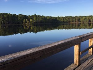 Walking the Southern Pines Reservoir